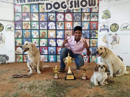 Dog trainers in chennai