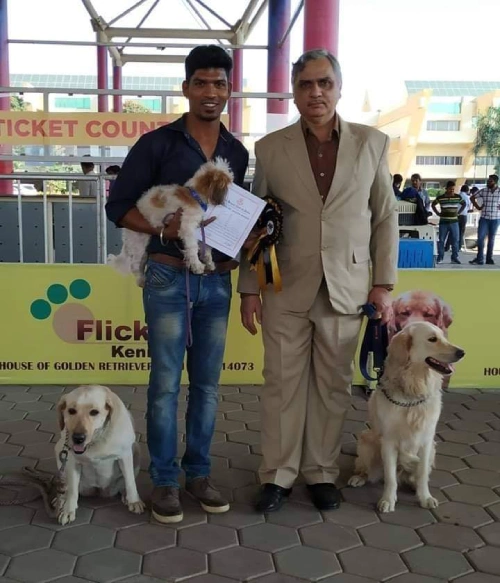 Dog Competition obedience training in chennai